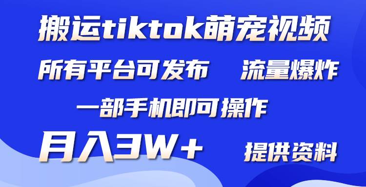 搬运Tiktok萌宠类视频，一部手机即可。所有短视频平台均可操作，月入3W+-思维有课